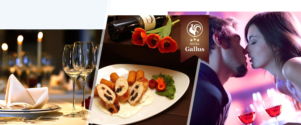 Proslavite svoju ljubav uz romantičnu večeru u 4 slijeda u restoranu Gallus, u Zagrebu! Glazba uživo i ostale pogodnosti, za 2 osobe i za samo 99 kn!