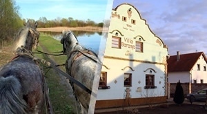 Uživajte u smještaju u renoviranoj austro-ugarskoj Villi Baranja u mjestu Karanac, u blizini Osijeka i Parka prirode Kopački rit!  Uz domaće delicije, očekuje Vas i posjet Eko gospodarstvu “Orlov put” uz degustacije mesnih delicija i meda!