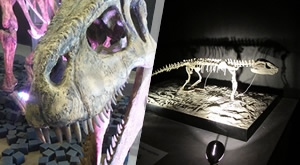 Posjetite sveobuhvatnu putujuću izložbu o dinosaurima južne Zemljine polutke! Kupon se može iskoristiti do 26.06.2017.!