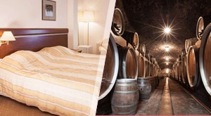 [ILOK] Gastronomski užitak za dvoje u najistočnijem gradu Hrvatske! 3 dana/2 noćenja s doručkom u turističkom naselju Stari podrum, obilazak starih vinskih podruma, degustacija vina za samo 794kn!