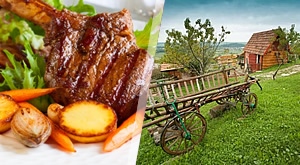 JESEN U EKO SELU GRADUNJE! Provedite idiličan dan u prirodi nadomak Zagreba i fino se napapajte! 9 različitih menija na odabir za 1 osobu za samo 65 kn!