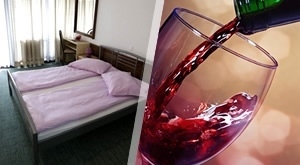 LIKA – MARTINJE u Hotelu Josipdol uz pjesmu, ples i izvrsnu kuhinju! Proslavite “praznik vina” od 11. – 12.11.’17. uz noćenje s doručkom, slatki stol, vino i bogatu večeru za dvoje, za samo 489 kn!