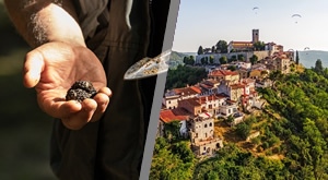 LOV NA TARTUFE u Istri! U aranžmanu Autoturist Parka otisnite se 10.11. u jednodnevnu avanturu u Livade, Motovun i Grožnjan s autobusnim prijevozom iz Zagreba za samo 189 kn/osobi!