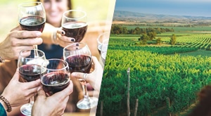 Unajmite vilu usred vinograda u Kutjevu! Predivni prizori Ville Enjingi na 3 dana/ 2 noćenja ugostit će Vaše društvo do 14 osoba i 3 djece, za svaku prigodu po super cijeni!