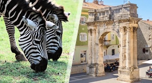 Uz  Smart Travel provedite čaroban dan u Puli, doživite veličanstvenu Arenu i oduševite se očaravajućim ljepotama NP Brijuni uz prijevoz busom iz Zg…225 kn/osobi!