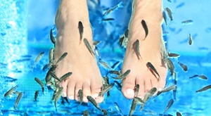 [PRVI PUT NA CJ] Fantastično iskustvo za opuštanje i predivna stopala! SG Salon u Varaždinu predstavlja predstavlja pedikuru uz FISH SPA – terapiju Garra rufa ribicama ili PARAFIN, već od 89 kn!
