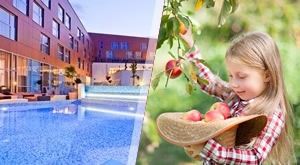 BERBA JABUKA u Sv. Martinu na Muri! Jesenski odmor uz berbu i degustaciju jabuka i 3 dana/2 noćenja s Polupansionom u Hotelu Spa Golfer 4*, wellness, kupanje, joga trening, mindfulness meditaciju…