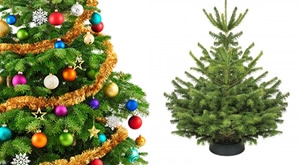 [ZAGREB] Ovih blagdana neka vaš dom krasi veličanstveno, pravo božićno drvce po najboljim cijenama na tržištu već od samo 89 kn – NORDIJSKA JELA, SILBER, SMREKA ili ŽIVO DRVCE u tegli!
