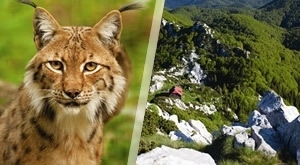 Istražite ljepote zelenog srca Hrvatske ovog ljeta! Upoznajte se s nacionalnim blagom Risnjaka, Fužina i spilje Vrelo uz Smart Travel, otiđite na jednodnevni izlet busom za samo 129 kn/ osobi!