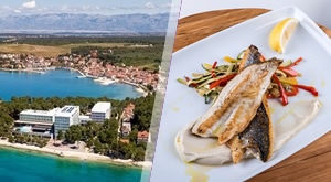 Gurmanska degustacija i vinska rapsodija! Dalmatinski gušti na 3 dana/ 2 noćenja s Polupansionom u Hotelu Pinija 4* u Petrčanama uz Wellness Spa uživanje, tematski program, od samo 1469 kn!