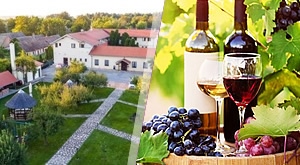 [12.-14.11.] MARTINJE u srcu BARANJE! Provedite vikend Martinja u luksuznom Hotelu Lug 4* uz 3 dana/2 noćenja s doručkom, večeru u 3 slijeda i tamburaše, obilazak vinoteke i degustaciju mladog vina!