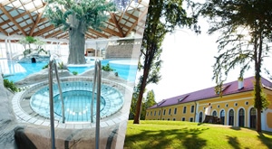 NOVO! Doživite ljepotu i povijest slovenskih krajeva – odmorite se u Mokrice Forest Hotelu 4* uz 2 dana i 1 noćenje s polupansionom i uživajte u Termalnoj Rivijeri Termi Čatež, sve za 2 osobe…