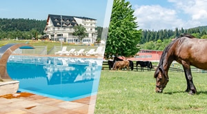 Bogata ljetna ponuda u Ajdinovićima – 5 dana i 4 noćenja s ALL INCLUSIVE uslugom u resortu SRCA 4*, SPA centar, sportske i zabavne aktivnosti, ZOO vrt… po odličnoj cijeni!