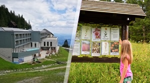 Uživajte u ljepotama slovenskog kraja Golte i obiteljskom odmoru u Wellness Hotelu Montis 4* uz 2 dana i 1 noćenje s doručkom za 2 osobe i 2 djece do 15 godina i razne rekreativne aktivnosti!