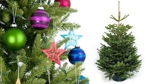 [POŽURI, BOŽIĆ DOLAZI!] Ovih blagdana neka vaš dom krasi pravo božićno drvce – hrvatska domaća smreka od 1 do 2 metra ili od 2 do 3 metra po vašem izboru – već od samo 14,90€!