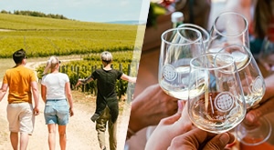 Posjetite Dane otvorenih kušaonica Šibensko-kninske županije uz jednodnevnu ulaznicu s uključenim prijevozom i degustacijom vina u vinarijama, za samo 22 eura/osobi!