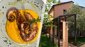 WELLNESS GASTRO iskustvo – 2 ili 3 polupansiona za 2 osobe u Wellness Villi Istriana 4* u Umagu! Počastite se degustacijama rakija, vina, tartufa, ribljim večerama, masažama, radionicama…