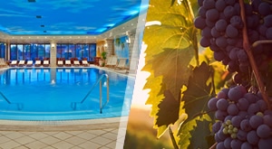 [24.-26.01.] Vincekovo u Hotelu Picok 4* u Đurđevcu – 3 dana i 2 noćenja s polupansionom za 2 osobe i 1 dijete do 7 god. uz uživanje na bazenu, saunama, spa zoni i u poznatim vinima z Peskov!