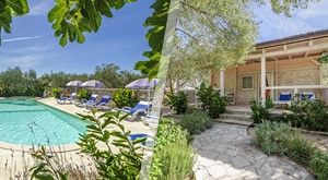 Jedinstveni doživljaj proljetnog odmora pod stablima maslina u Olive Garden Resortu 4* kraj Šibenika – 3 dana i 2 noćenja u mobilnoj kućici za 4 osobe, korištenje bazena, jacuzzija, roštilja…