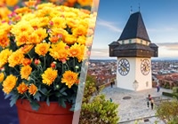 Idealan izlet za sve ljubitelje cvijeća - Darojković Promet vodi Vas u Tulln i na sajam cvijeća!