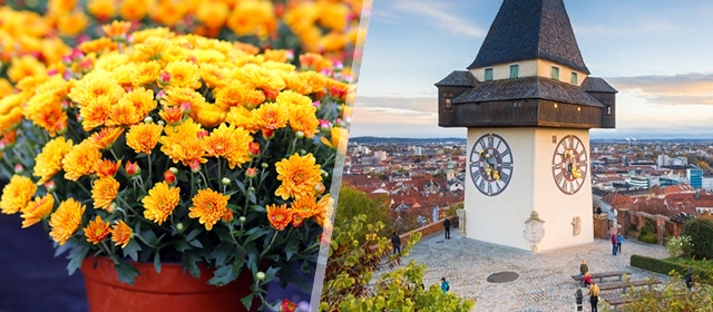 Idealan izlet za sve ljubitelje cvijeća - Darojković Promet vodi Vas u Tulln i na sajam cvijeća!