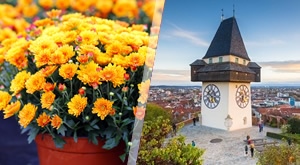 Idealan izlet za sve ljubitelje cvijeća - Darojković Promet vodi Vas u Tulln i na sajam cvijeća!