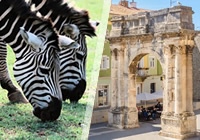 Otkrijte ljepotu Pule i Nacionalnog parka Brijuni na nezaboravnom izletu sa Smart Travelom!