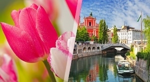 Darojković Promet - jednodnevni izlet u Arboretum Volčji Potok i Ljubljanu!