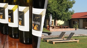 Uživajte u ljepotama Bjelovara uz 1 ili 2 polupansiona za 2 osobe u izletištu Agroturizmu Vinia!