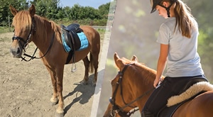 Doživite 2 sata jahačke avanture kroz netaknutu prirodu uz Kupu u organizaciji Udruge Šapat konja