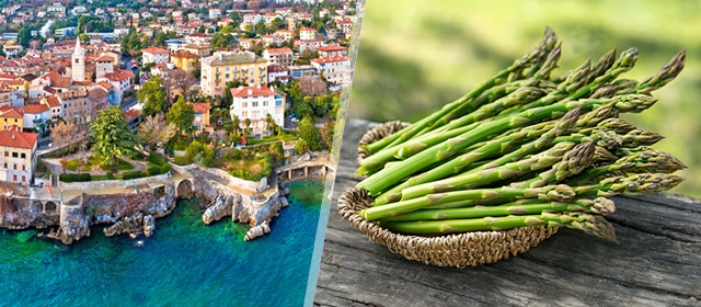 [11. 04. 2026.] OPATIJA I FESTIVAL ŠPAROGA U LOVRANU - uživajte u jednodnevnom izletu autobusom iz Zagreba, morskom zraku i vrhunskim delicijama uz Darojković Promet! Osigurajte svoje mjesto!