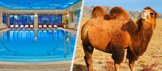 Upoznaj ĐURĐEVAC – savršen vikend u srcu Podravine! 2 noćenja s polupansionom za dvije osobe u Hotelu Picok, boravak za dvoje djece do 6 godina GRATIS i uživanje u domaćoj podravskoj kuhinji!