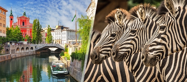 Darojković Promet: Istražite srce Ljubljane i čudesni ZOO vrt u jednodnevnom bijegu iz svakodnevice!