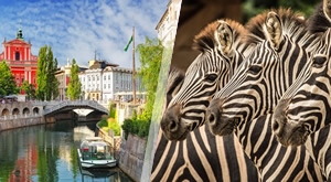 Darojković Promet: Istražite srce Ljubljane i čudesni ZOO vrt u jednodnevnom bijegu iz svakodnevice!