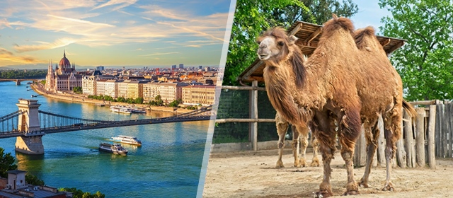 BUDIMPEŠTA i ZOO VRT: Savršen jednodnevni izlet! Uživajte u panoramskom razgledu, VOŽNJI DUNAVOM uz šampanjac i shoppingu u ulici Váci uz DAROJKOVIĆ PROMET i polazak iz Zagreba!