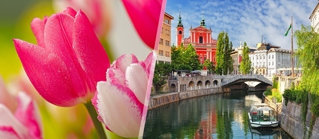 Istražite SLOVENIJU - Darojković Promet vodi Vas na jednodnevni izlet u Arboretum Volčji Potok i Ljubljanu s uključenim autobusnim prijevozom!
