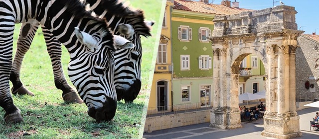 Povratni termin za upoznavanje